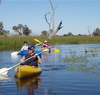 Marsh Meanders - Grafton Accommodation
