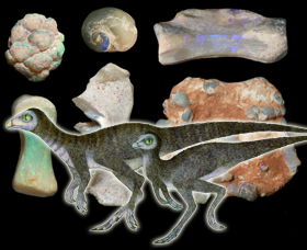 Australian Opal Centre - Grafton Accommodation 2