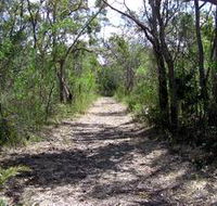 Lanky's Walk - Grafton Accommodation