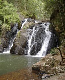 Pepina Falls - Grafton Accommodation 0