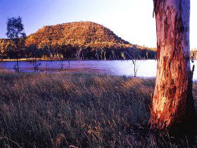 Nuga Nuga National Park And Lake Nuga Nuga - Grafton Accommodation 2