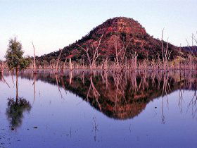 Nuga Nuga National Park And Lake Nuga Nuga - Grafton Accommodation 3