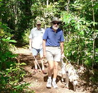 Wongabel State Forest - Grafton Accommodation