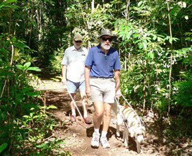 Wongabel State Forest - Grafton Accommodation 0