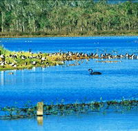 Hasties Swamp National Park - Grafton Accommodation