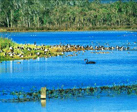 Hasties Swamp National Park - Grafton Accommodation 0