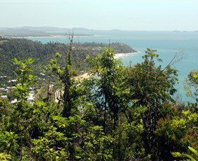 Clump Mountain National Park - Grafton Accommodation 1