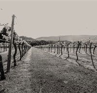 Halls Gap Estate - Grafton Accommodation