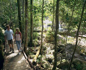 Eungella National Park - Grafton Accommodation 2