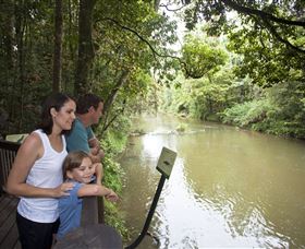 Platypus Viewing At Broken River - Grafton Accommodation 1