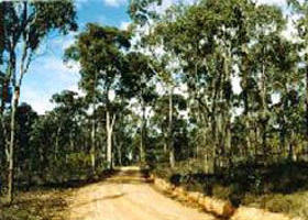 Paddys Ranges State Park - Grafton Accommodation 0