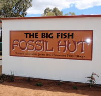 Big Fish Fossil Hut at Peak Hill - Grafton Accommodation