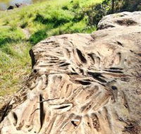 Terramungamine Rock Grooves - Grafton Accommodation