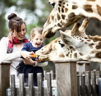 Taronga Western Plains Zoo Dubbo - Grafton Accommodation