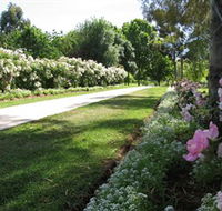 Barooga Botanical Gardens - Grafton Accommodation