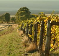 Captains Creek Organic Wines - Grafton Accommodation