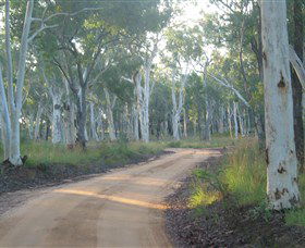 Self Drive Geology And Nature Trails - Grafton Accommodation 1