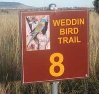 Weddin Bird Trails - Grafton Accommodation