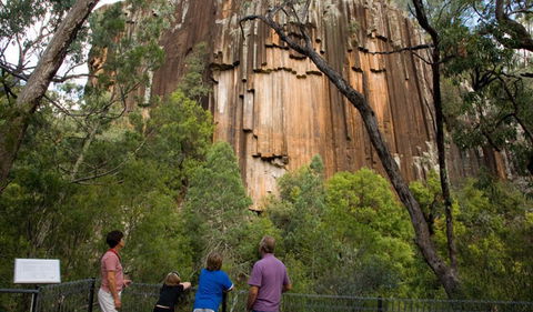 Sawn Rocks Walking Track - Grafton Accommodation 0