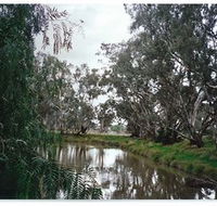 Henty Government Dam Nature Reserve - Grafton Accommodation