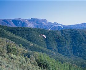 Buffalo Brewery - Grafton Accommodation 0