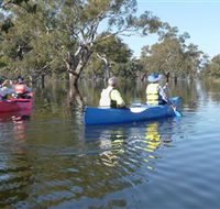 Doodle Cooma Swamp - Grafton Accommodation
