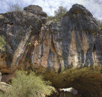 Borenore Karst Conservation Reserve - Grafton Accommodation