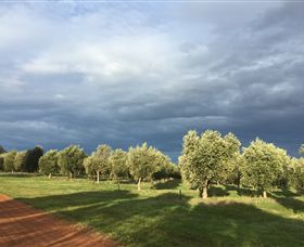 Teesdale VIC Grafton Accommodation
