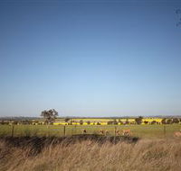 Cootamundra Bird Walk