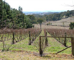 Habitat Vineyard - Grafton Accommodation 0