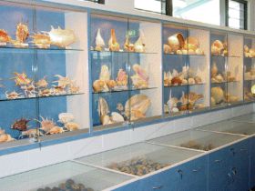 Shell World Yeppoon - Grafton Accommodation 1