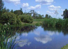Yan Yean Reservoir Park - Grafton Accommodation 0