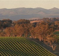 Angullong Wines - Grafton Accommodation