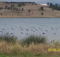 Lake Liddell Recreation Area - Grafton Accommodation