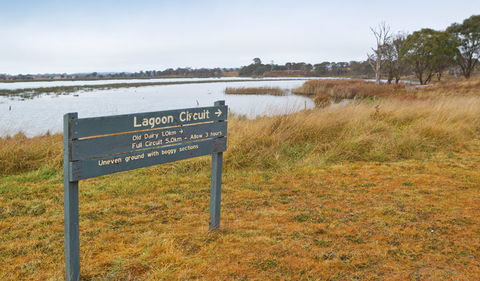 Lagoon Circuit Walking Track - Grafton Accommodation 0