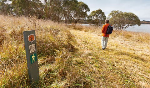 Lagoon Circuit Walking Track - Grafton Accommodation 2
