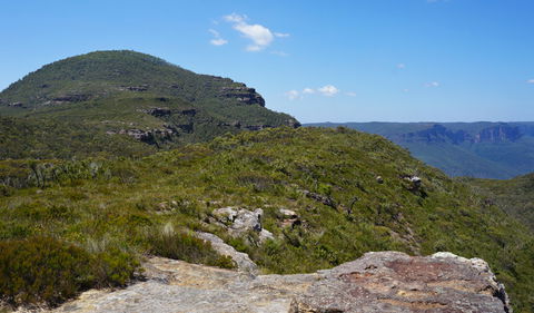 Mount Banks Road Cycle Route - Grafton Accommodation 0