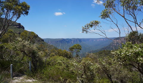 Mount Banks Road Cycle Route - Grafton Accommodation 2