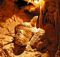 Fig Tree Cave - Grafton Accommodation