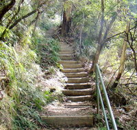 Nature track - Grafton Accommodation