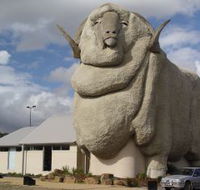 Big Merino