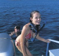 Seal Cove - Grafton Accommodation