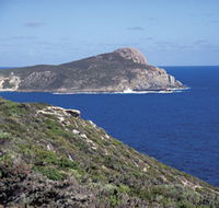 Bald Head Walking Track - Grafton Accommodation