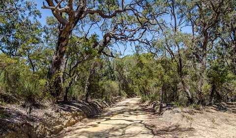 Howes Trail - Grafton Accommodation 0