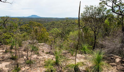 Howes Trail - Grafton Accommodation 1