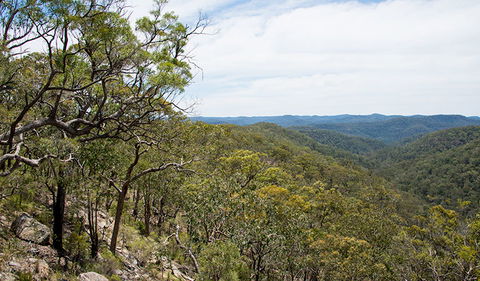 Howes Trail - Grafton Accommodation 2