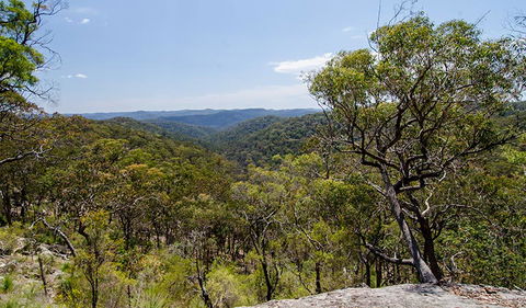Howes Trail - Grafton Accommodation 3