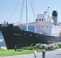 Discovery Bay Tourism Experience - Grafton Accommodation