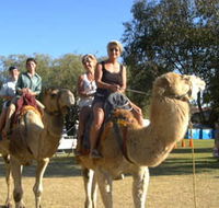 Calamunnda Camel Farm  - Grafton Accommodation