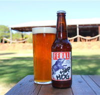 Feral Brewing Company - Grafton Accommodation